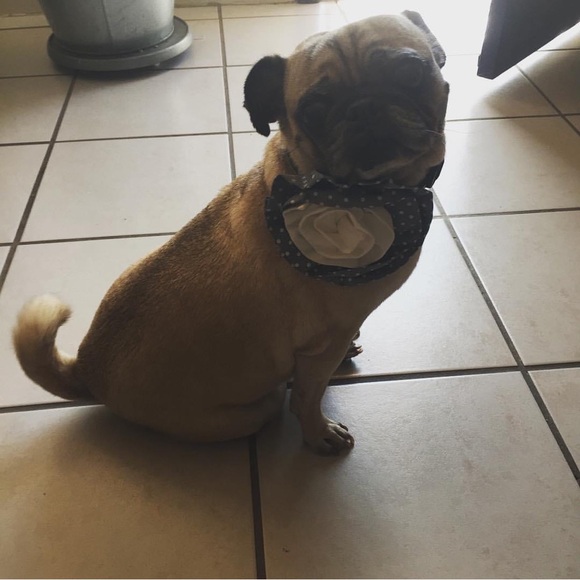 Kirsten is LIVE🌸 Like to be notified when I go live! ✨ - Picture 14 of 15